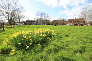 Photo 31- click for photo gallery